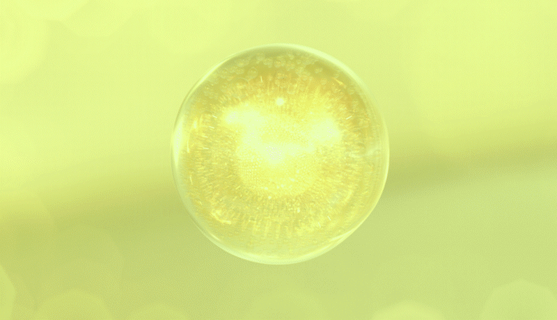 766c6c29ac44669ae4d1f6081d272002_1779081886_488.gif