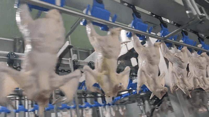 186524beb2e7539df0805921a3c68f17_1782107480_2835.gif