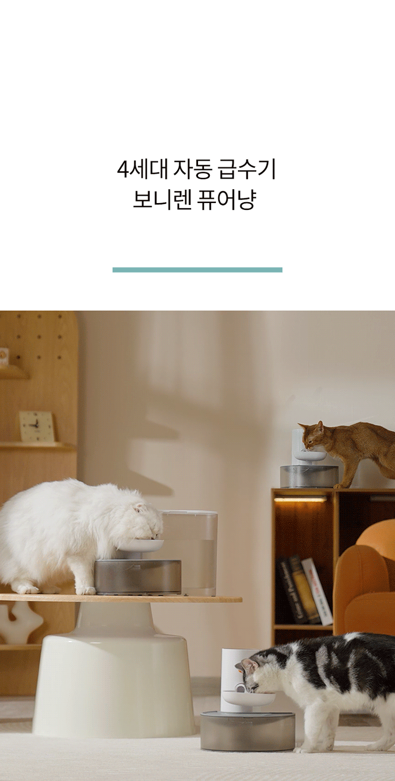 5d7dd290fe1b39e8989471a61e957f38_1781861440_6708.gif
