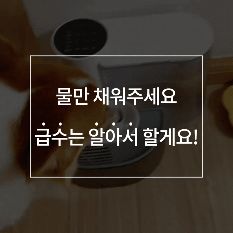 5d7dd290fe1b39e8989471a61e957f38_1781861748_8137.gif