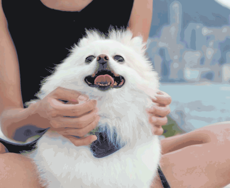 5d7dd290fe1b39e8989471a61e957f38_1781863284_9637.gif