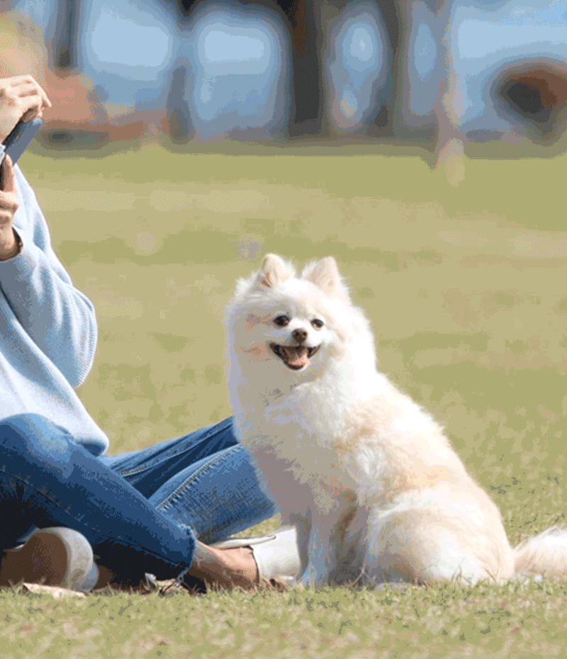 5d7dd290fe1b39e8989471a61e957f38_1781863324_5861.gif